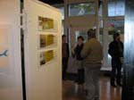 opening